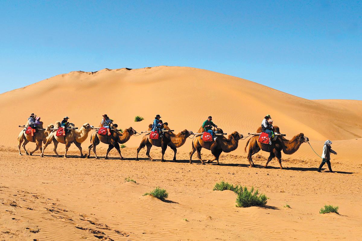 Turistas montan camellos en el área escénica de Shapotou en Zhongwei, Región Autónoma de Ningxia Hui, 1o de octubre. (Foto: Mao Zhu/ Xinhua)