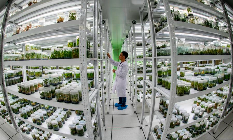 Sala de almacenamiento in vitro en el Banco de Germoplasma de Especies Silvestres en Kunming, provincia de Yunnan, 20 de octubre del 2021. (Foto: Xinhua)