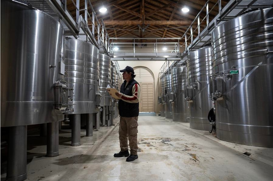 Imagen del 7 de octubre de 2024 de un trabajador de la bodega argentina Casarena Bodegas y Vi?edos controlando los tanques en la sala de tanques de la bodega, en la ciudad de Luján de Cuyo, en la provincia de Mendoza, Argentina. (Xinhua/Martín Zabala)