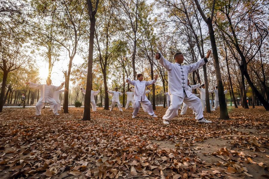 Entusiastas del Tai Chi hacen ejercicios matutinos en un parque de la ciudad de Zunhua, en la provincia norte?a china de Hebei, el 1 de noviembre de 2023. (Xinhua/Liu Mancang)