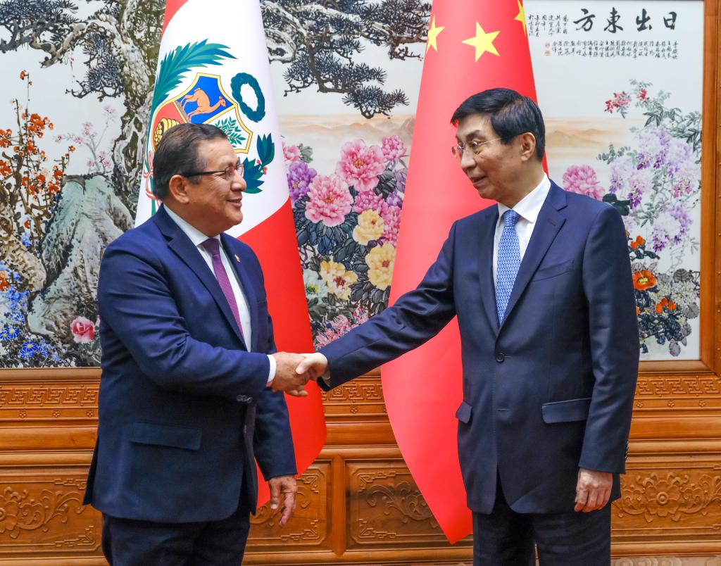 Wang Huning, presidente del Comité Nacional de la Conferencia Consultiva Política del Pueblo Chino (CCPPCh), se reúne con el presidente del Congreso de Perú, Eduardo Salhuana, en Beijing, capital de China, el 6 de enero de 2025. (Xinhua/Ding Lin)