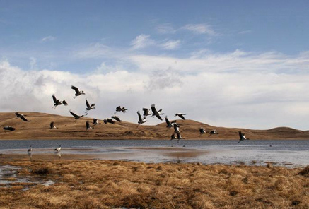 Viaje de Observación de Aves