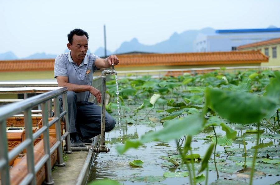 Jardín en un tejado de Liuzhou